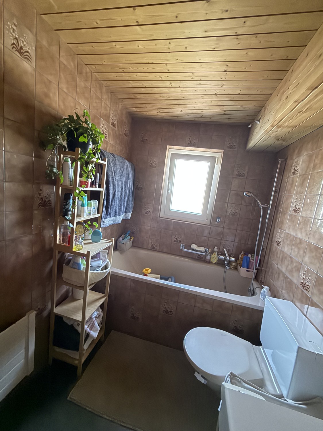 Appartement de 2 ½ pièces