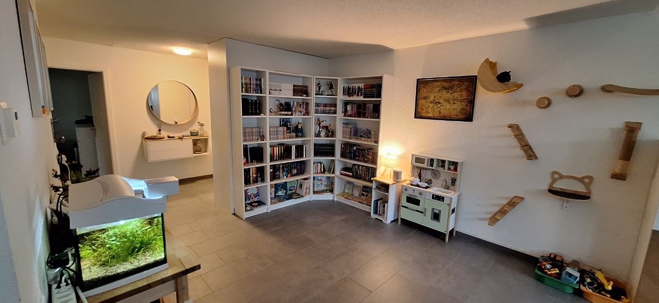 Appartamento di 2 ½ locali, foto 3 di 10