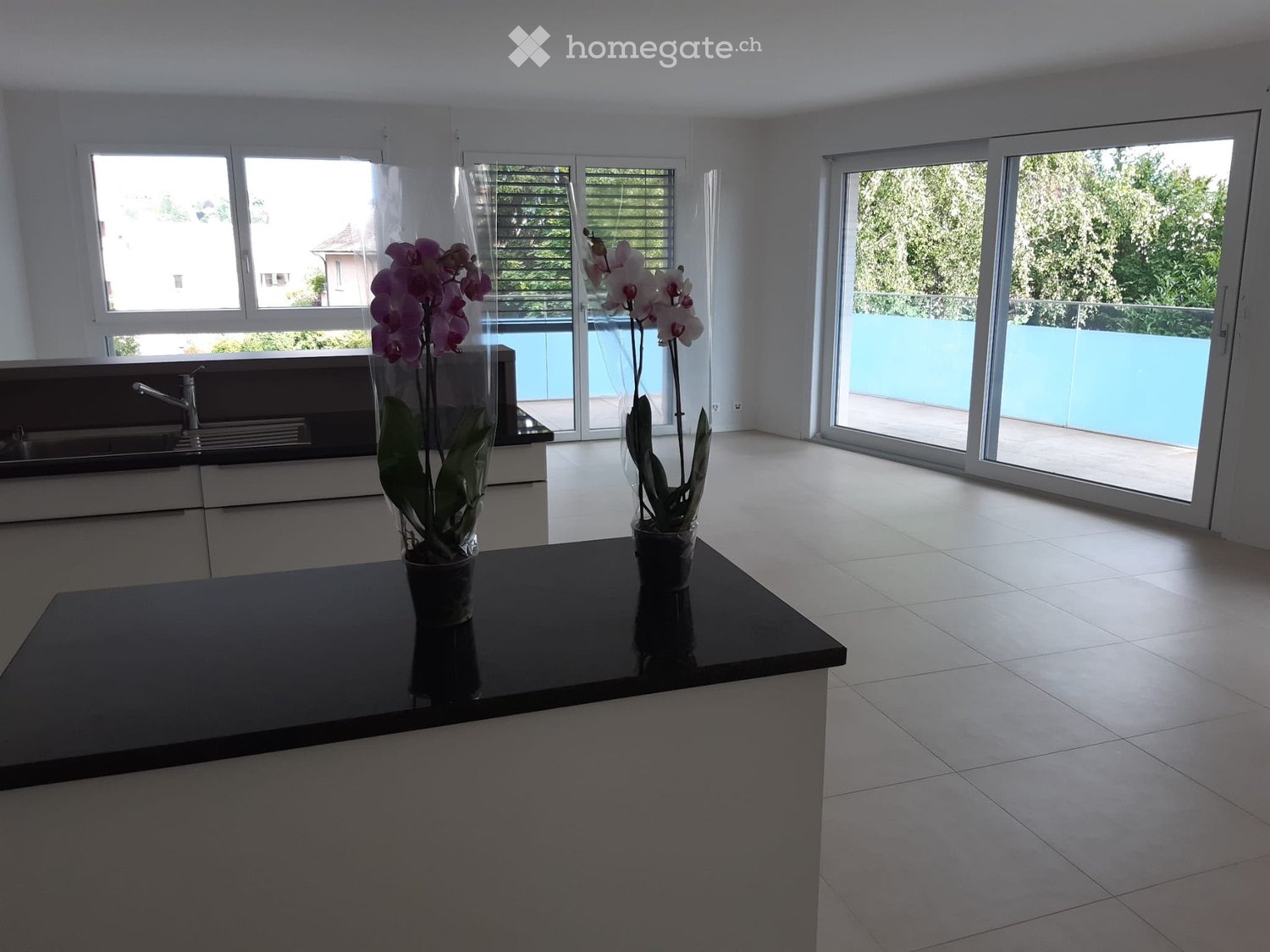 Appartamento di 3 ½ locali, foto 2 di 5