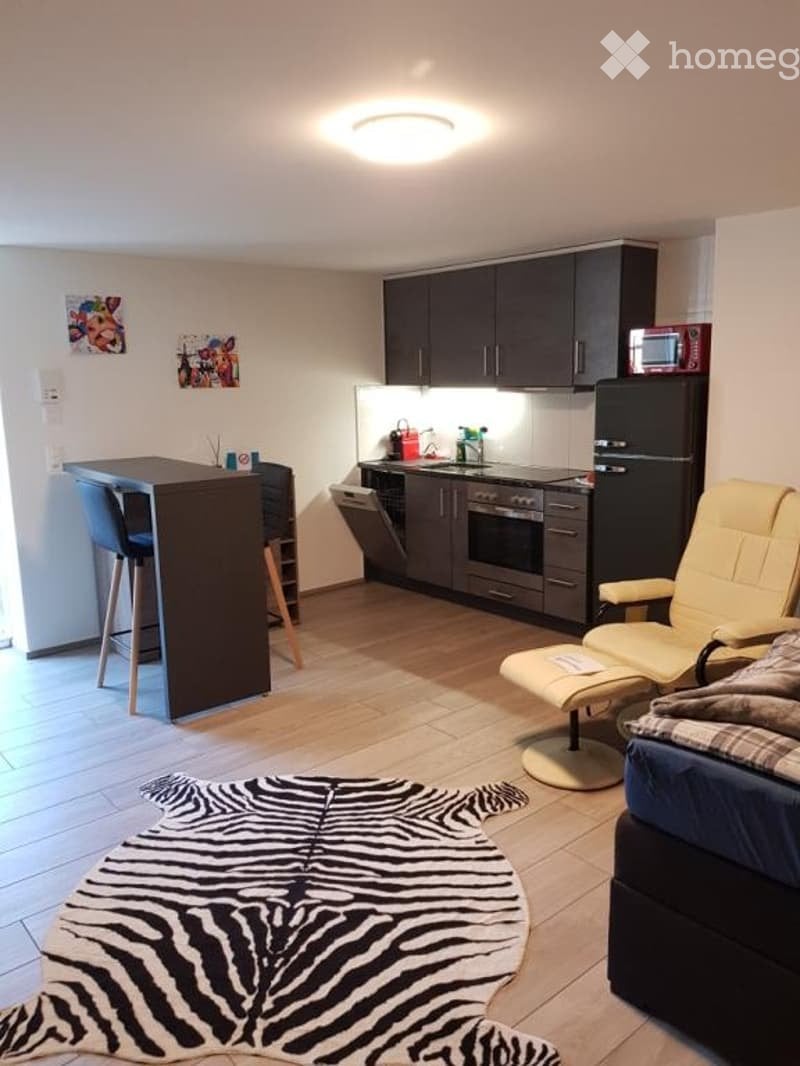 Appartamento di 1 ½ locali, foto 2 di 10