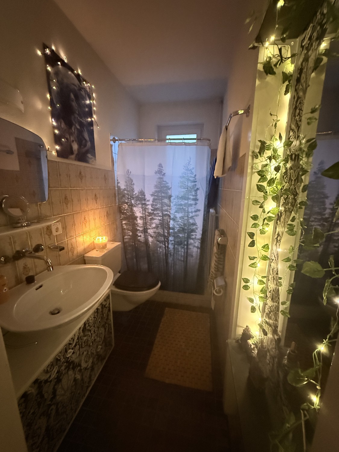4 ½ rooms apartment