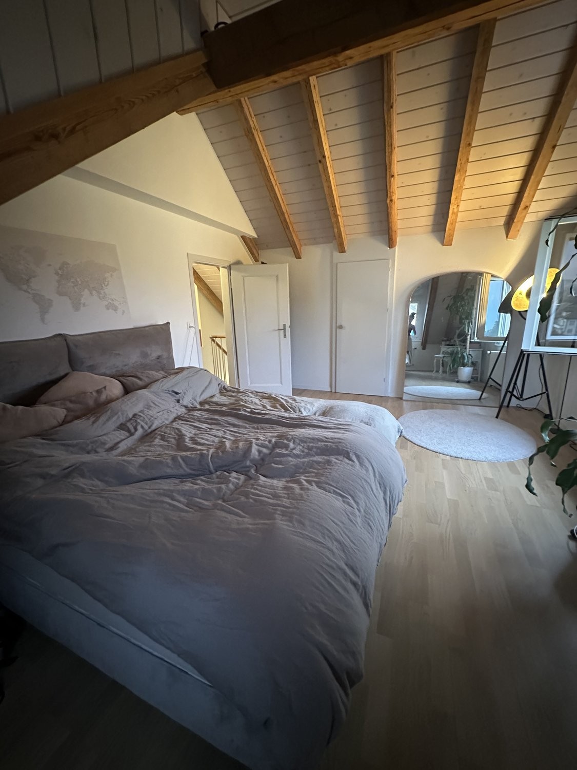 appartamento arredato di 2 ½ locali