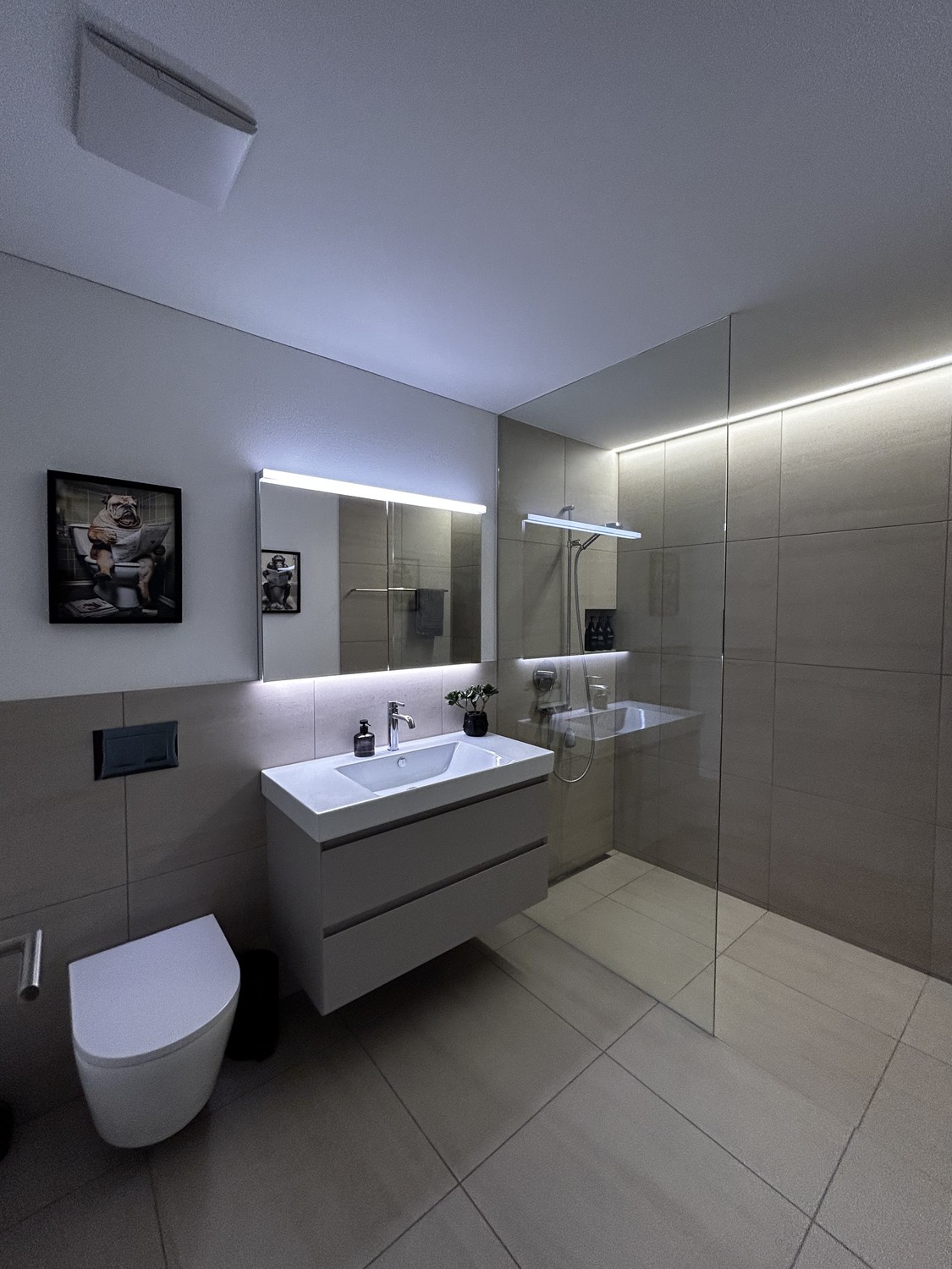 Appartamento di 3 ½ locali, foto 9 di 10
