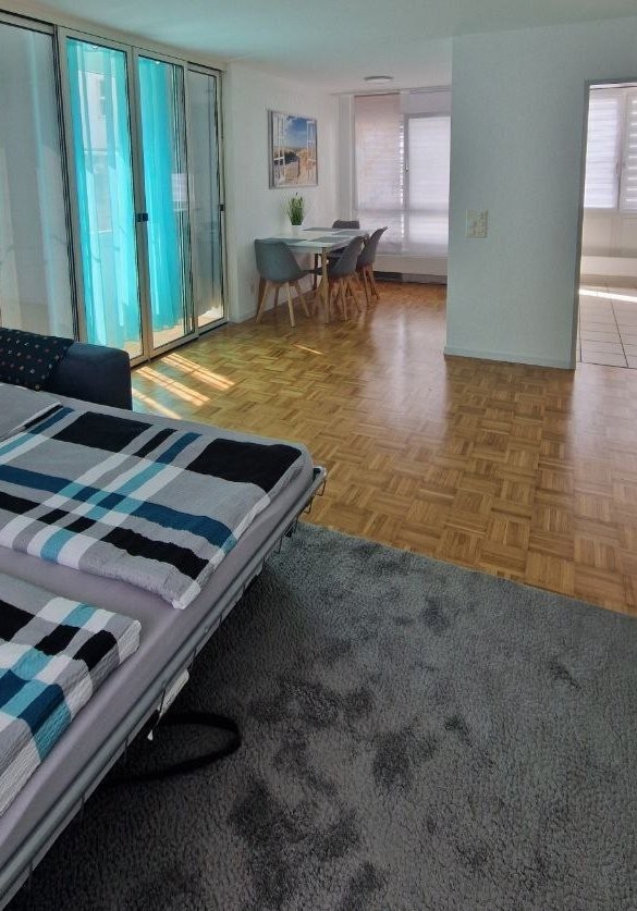 appartamento arredato di 2 ½ locali, foto 2 di 10