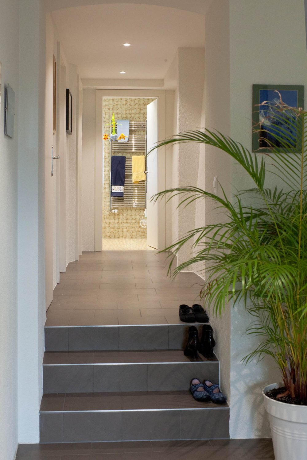 6 ½ rooms furnished flat