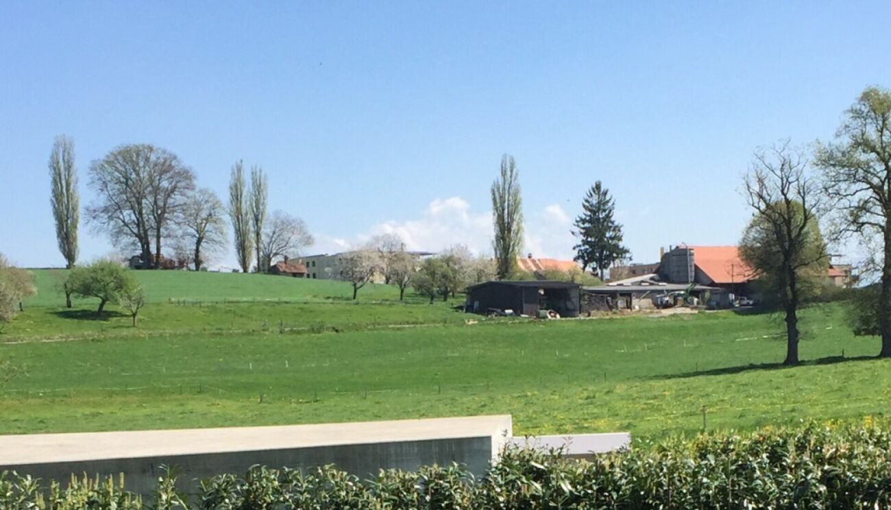 Appartamento di 4 ½ locali