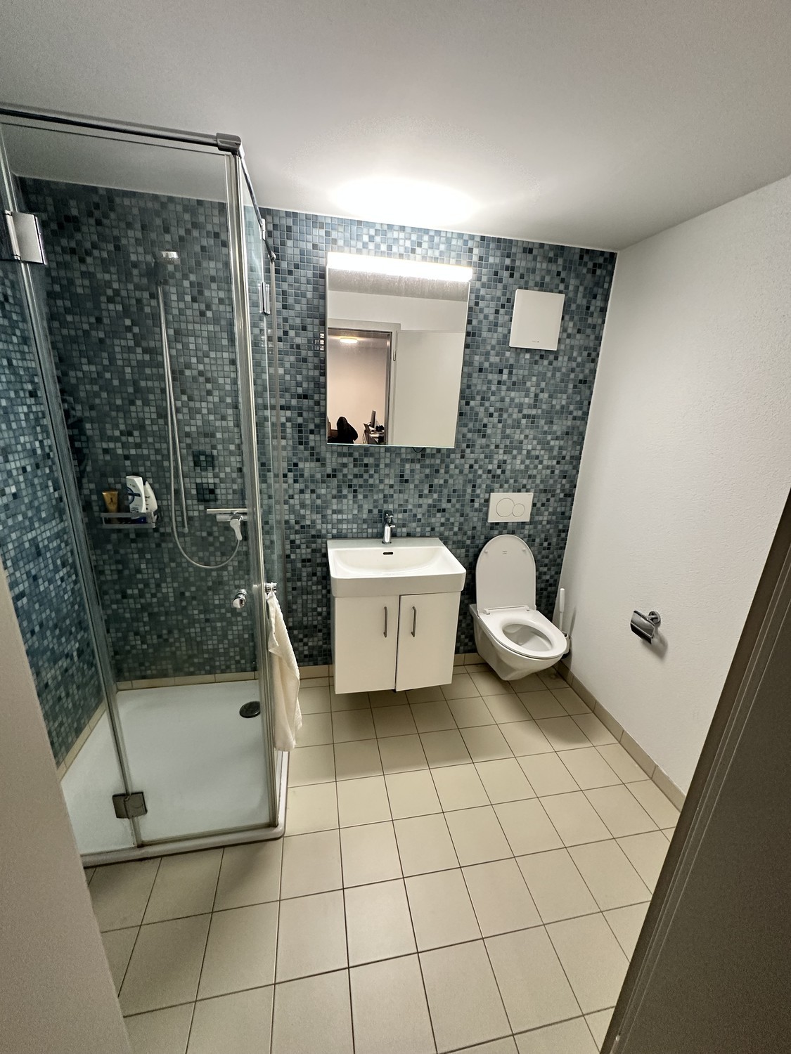 Appartamento di 2 ½ locali, foto 4 di 6