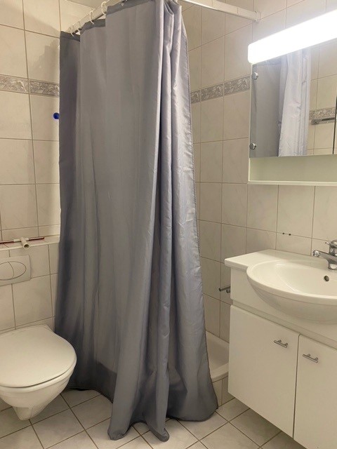 appartamento arredato di 1 locale, foto 4 di 4