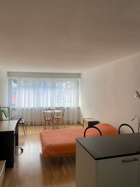 appartamento arredato di 1 locale, foto 3 di 4
