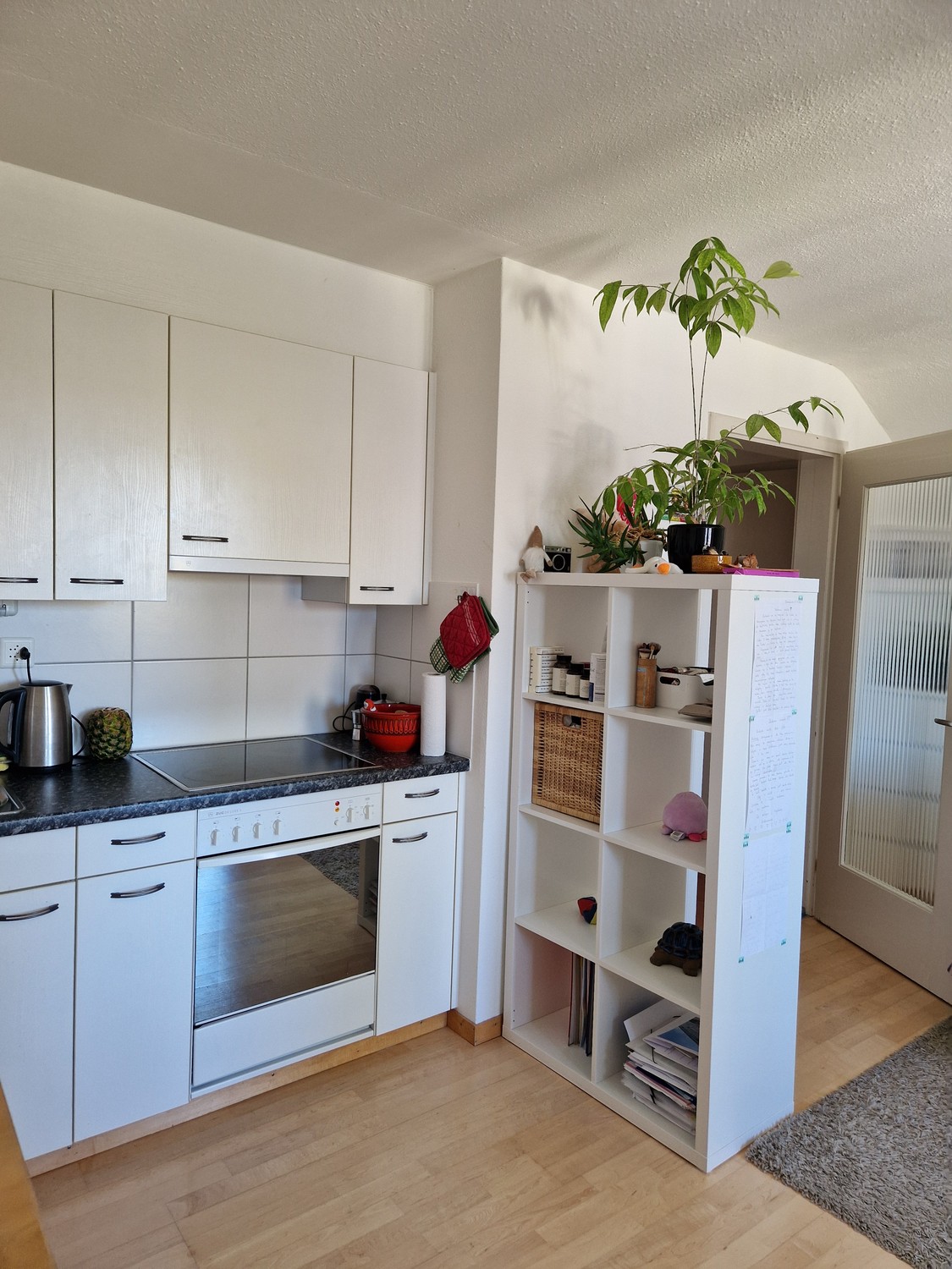1 room apartment