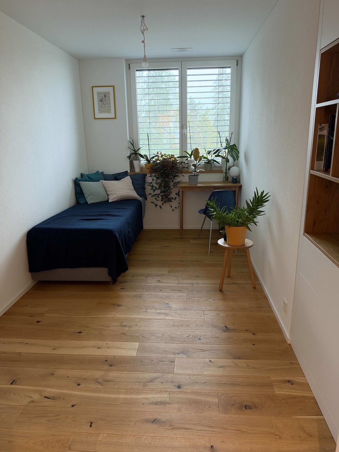 Appartamento arredato di 4 ½ locali, foto 5 di 10