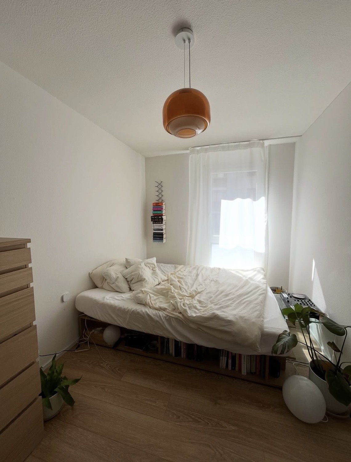 Room in a shared flat
