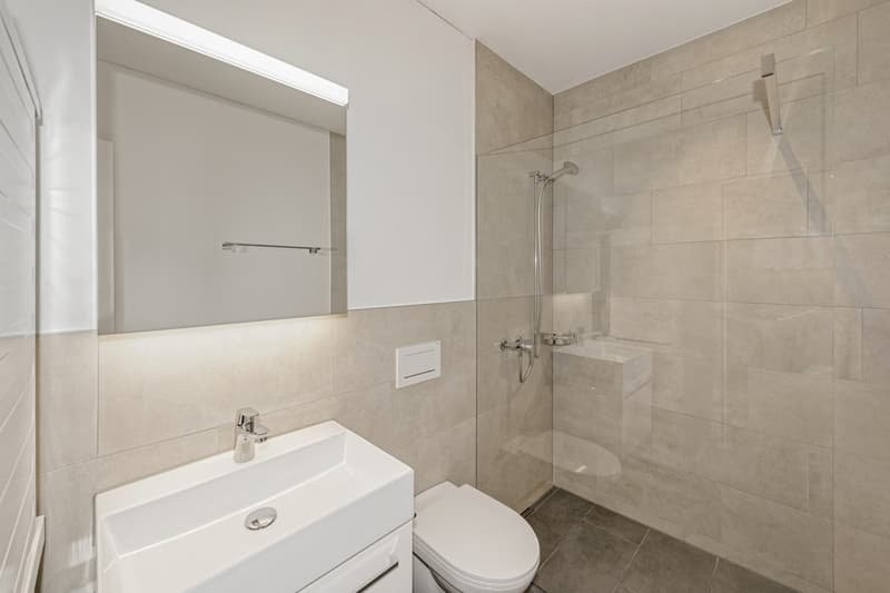 Appartement de 5 ½ pièces