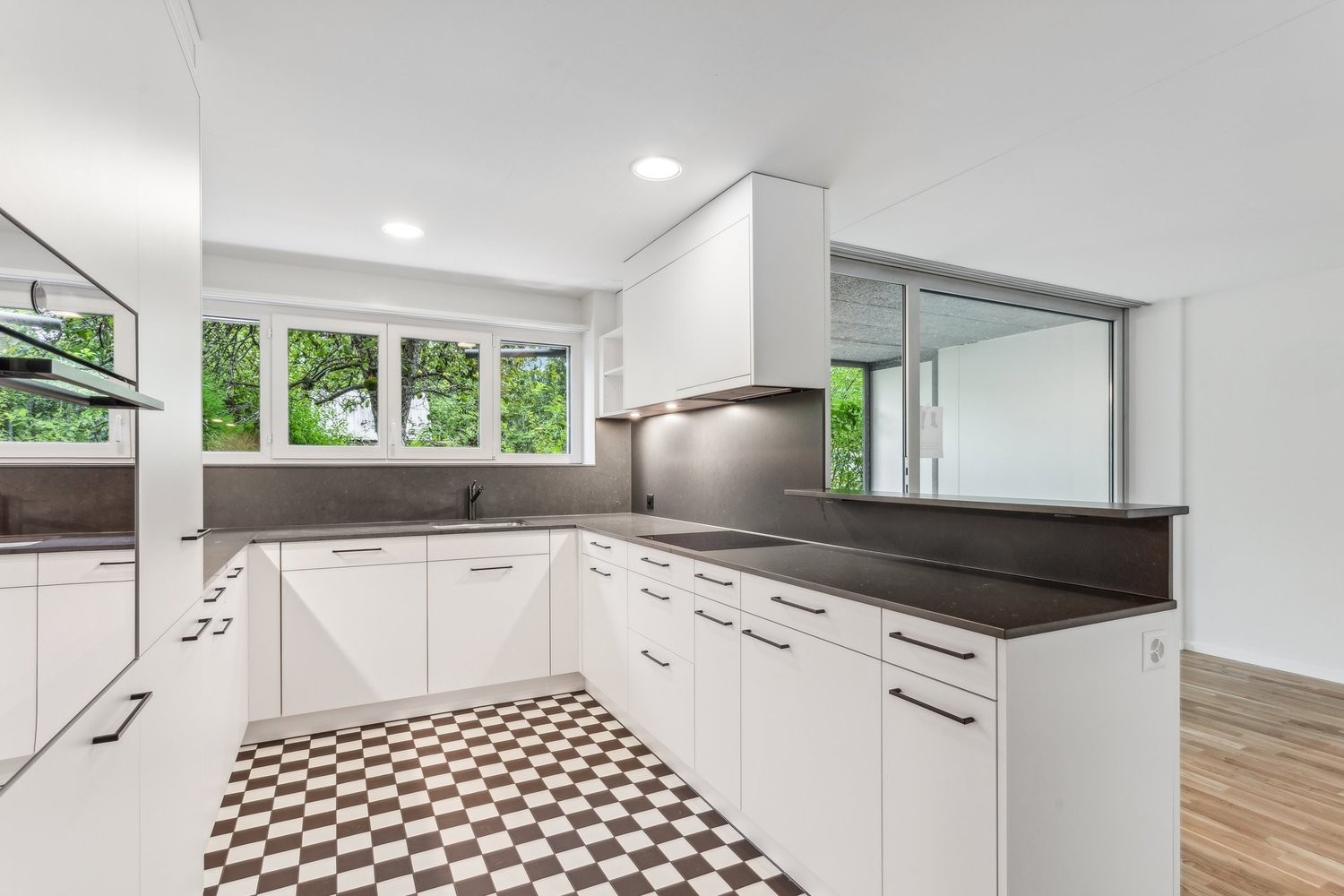 4 ½ rooms duplex