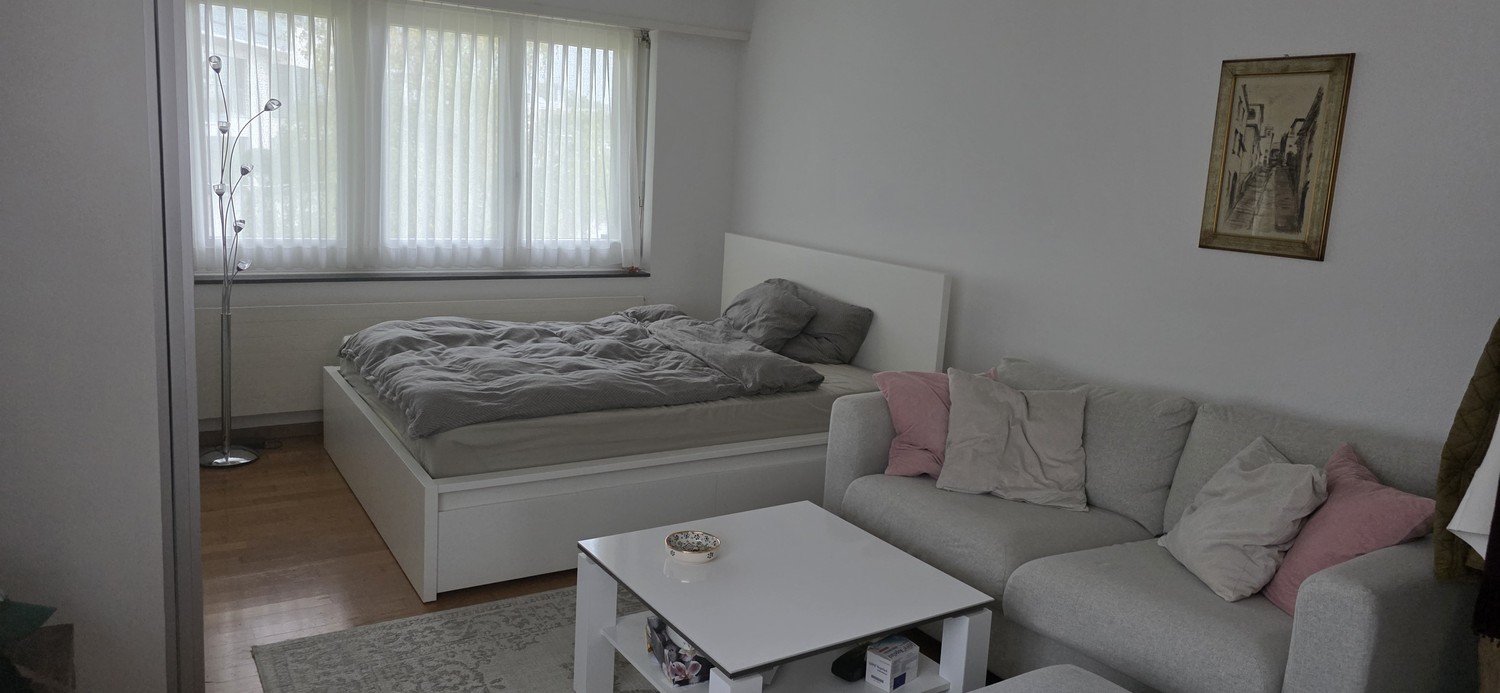 Appartamento di 2 locali, foto 3 di 6