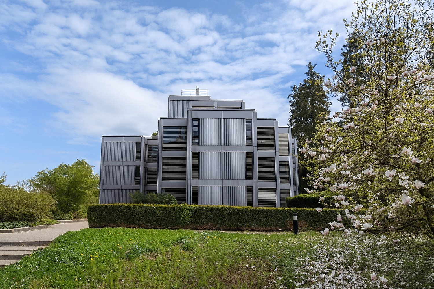 1807m² ufficio