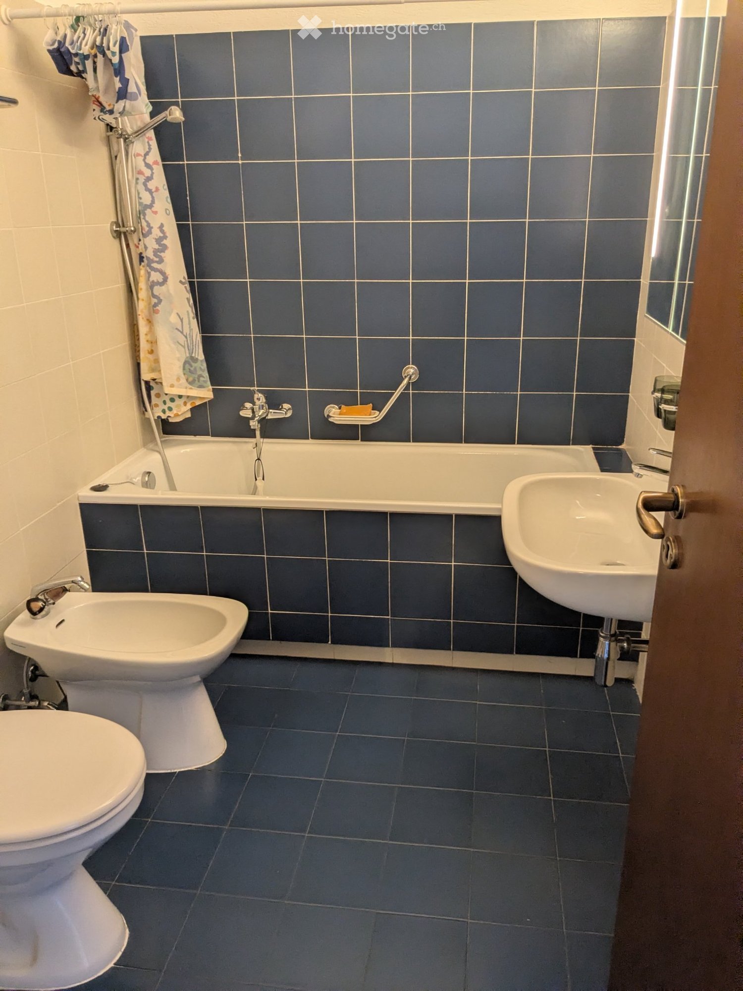 2 ½ rooms apartment