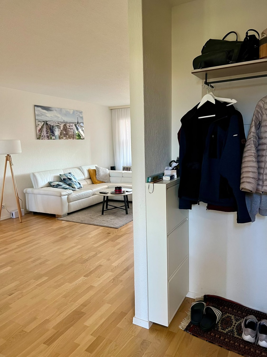 Appartement de 3 ½ pièces