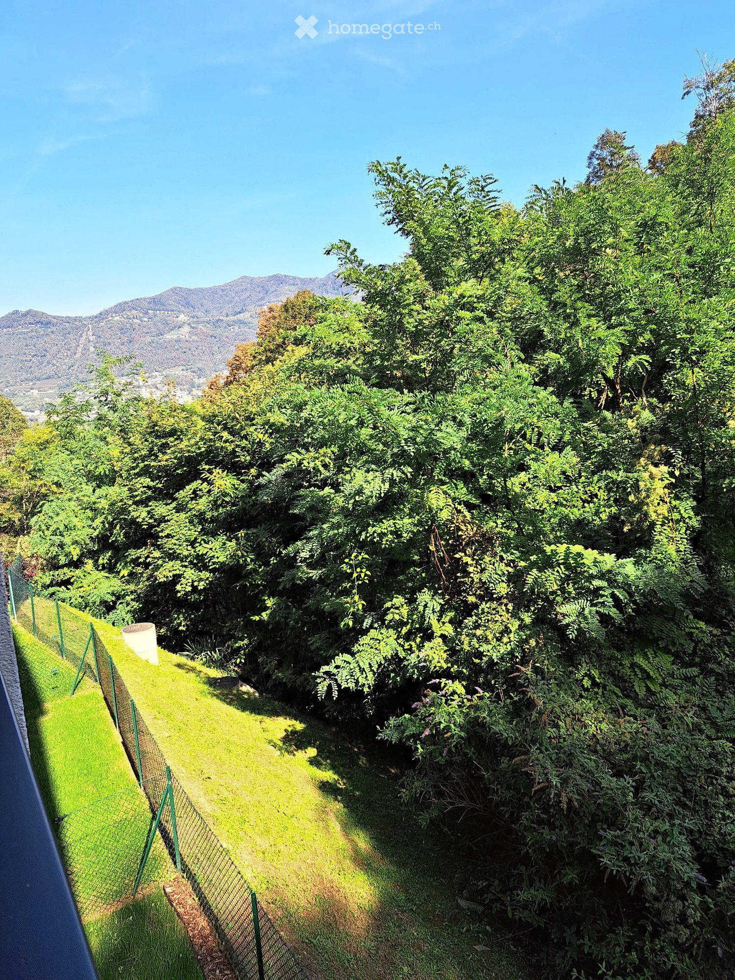 Appartamento di 2 ½ locali, foto 5 di 5