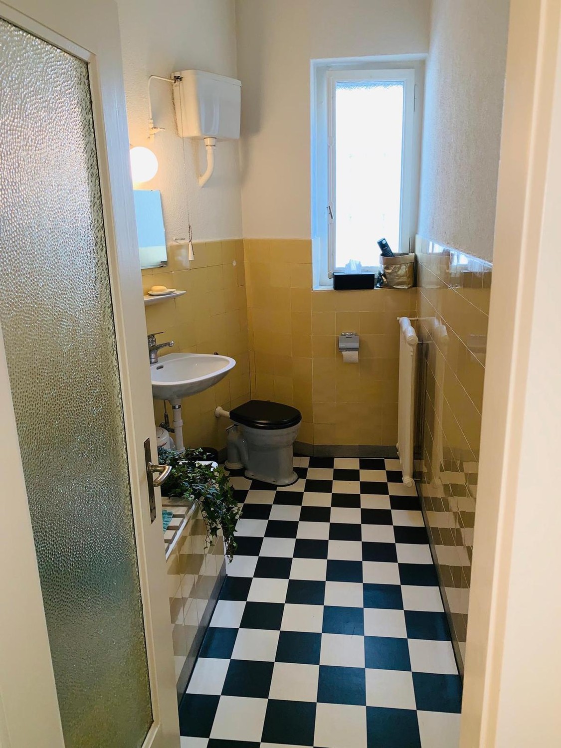 50m² commerciale