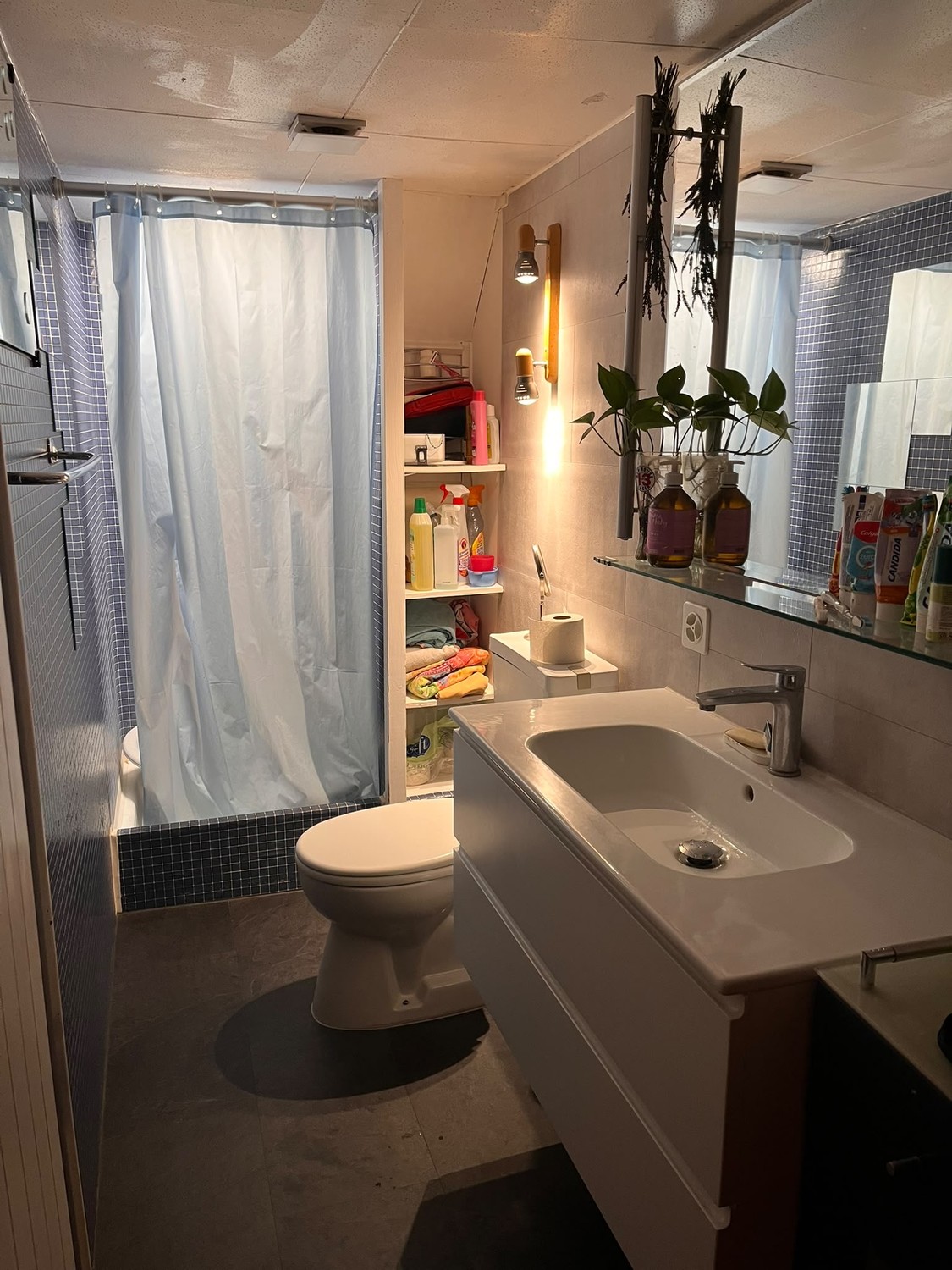 Appartement de 3 ½ pièces