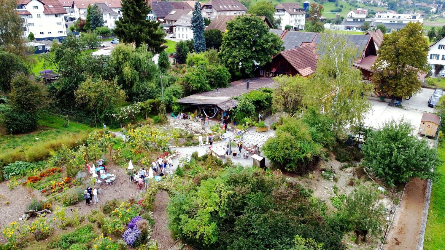 Appartement de 3 ½ pièces