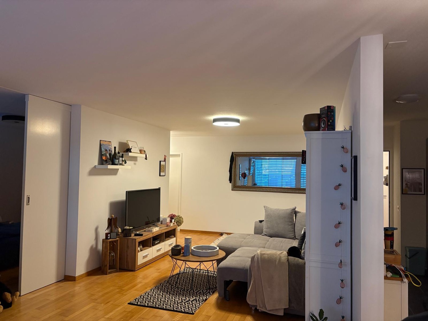 Appartamento di 2 ½ locali, foto 2 di 10
