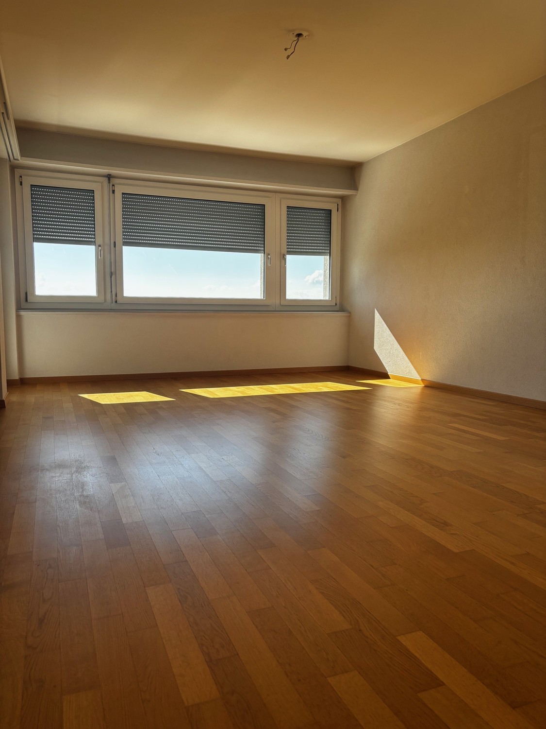 Appartamento mansardato di 3 ½ locali, foto 6 di 10