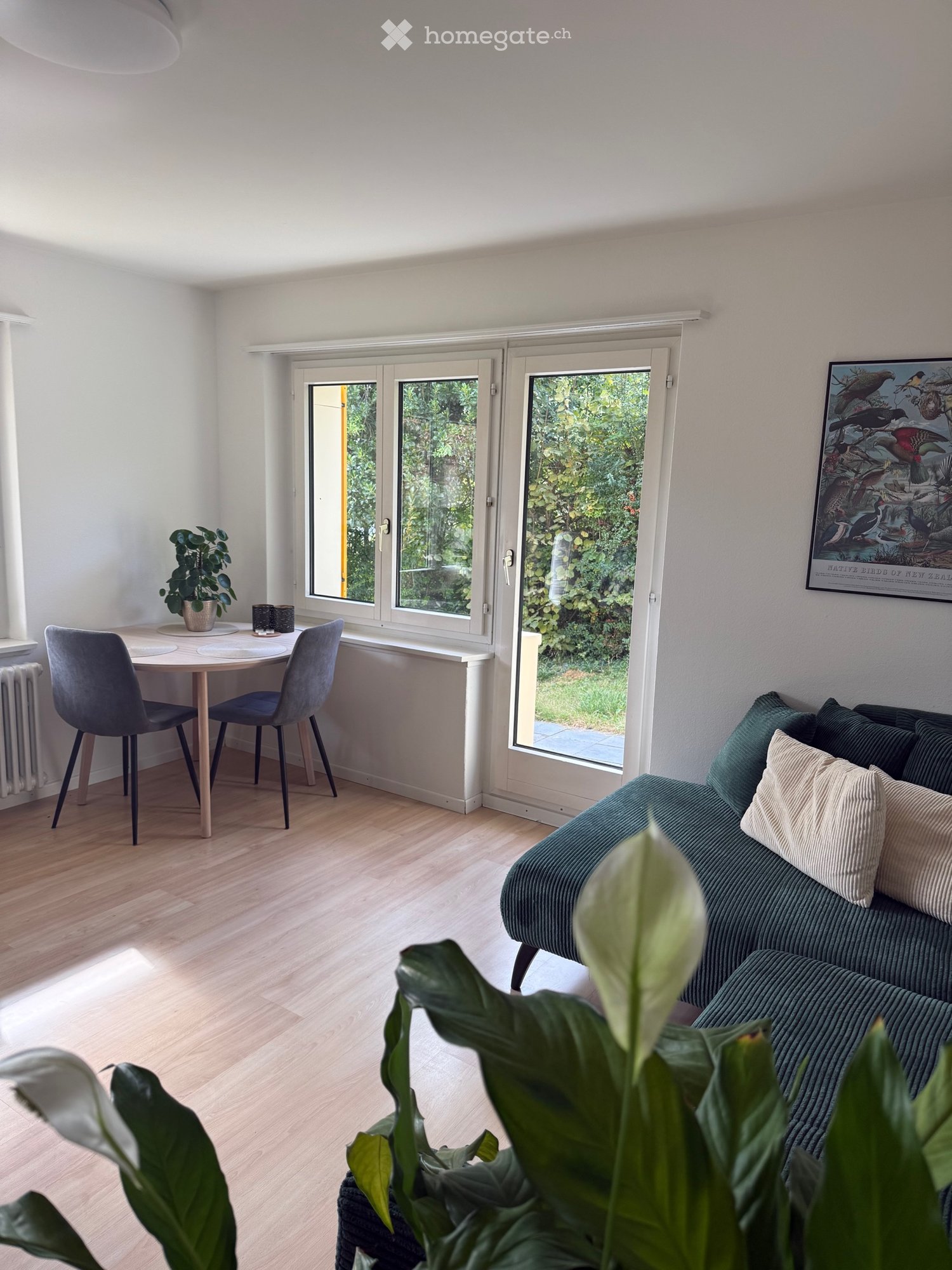 Appartamento di 2 ½ locali, foto 2 di 5
