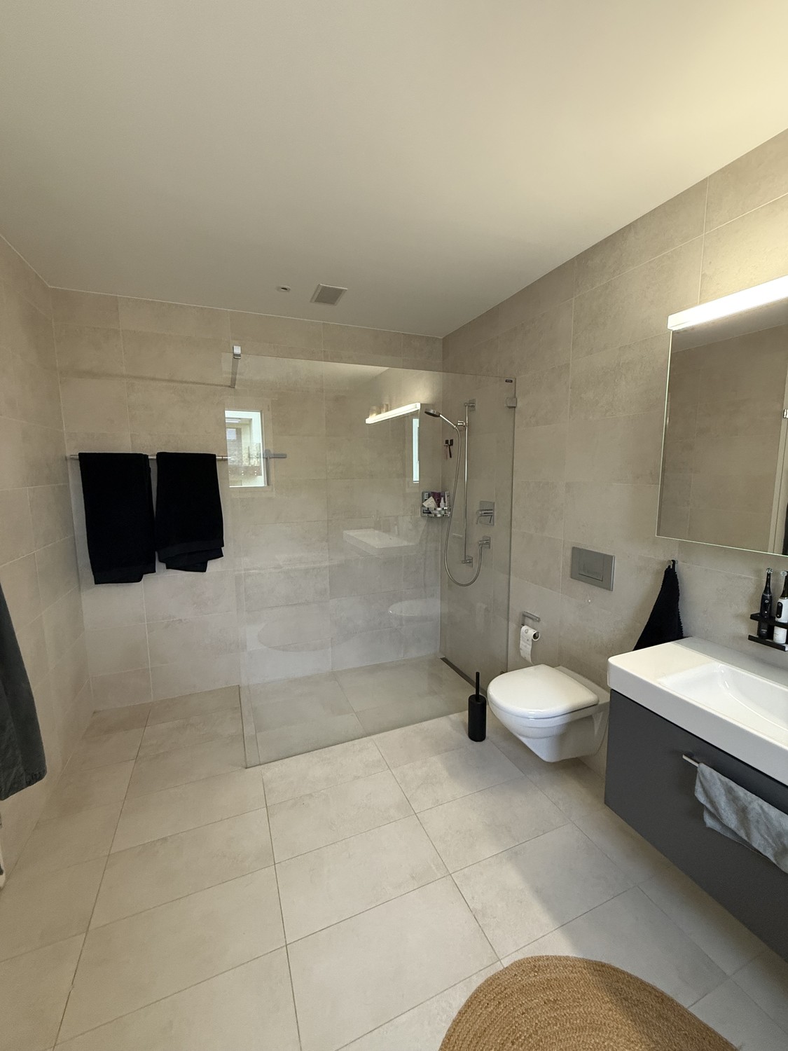 Appartamento di 2 ½ locali, foto 3 di 6