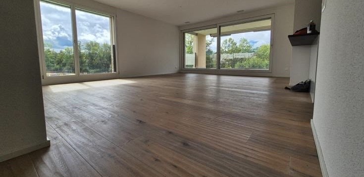 Appartamento di 2 ½ locali, foto 1 di 6