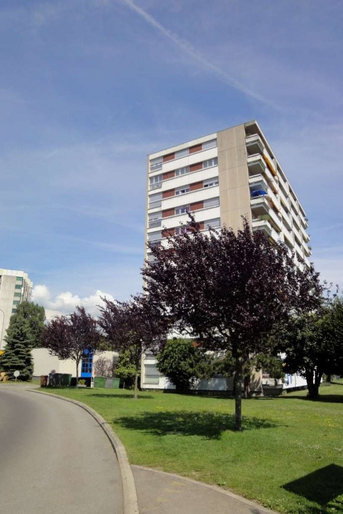 appartamento di 1 locale, foto 1 di 6