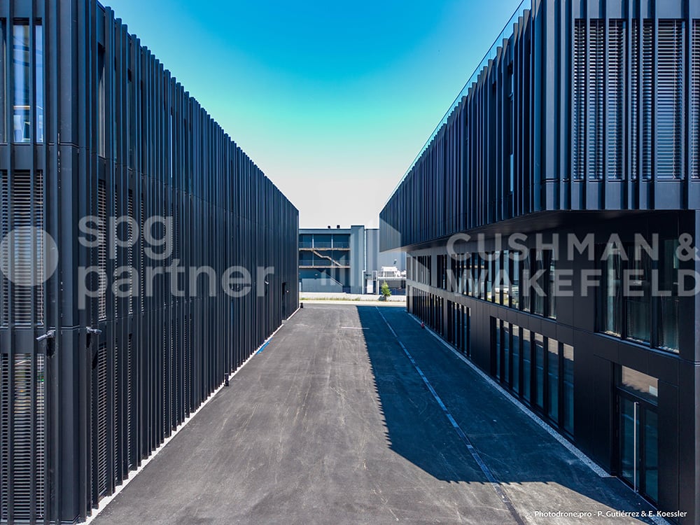 295m² commerciale