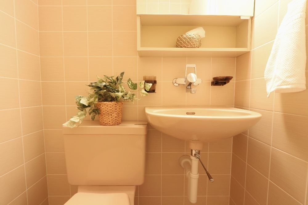 Appartamento di 2 ½ locali, foto 3 di 9