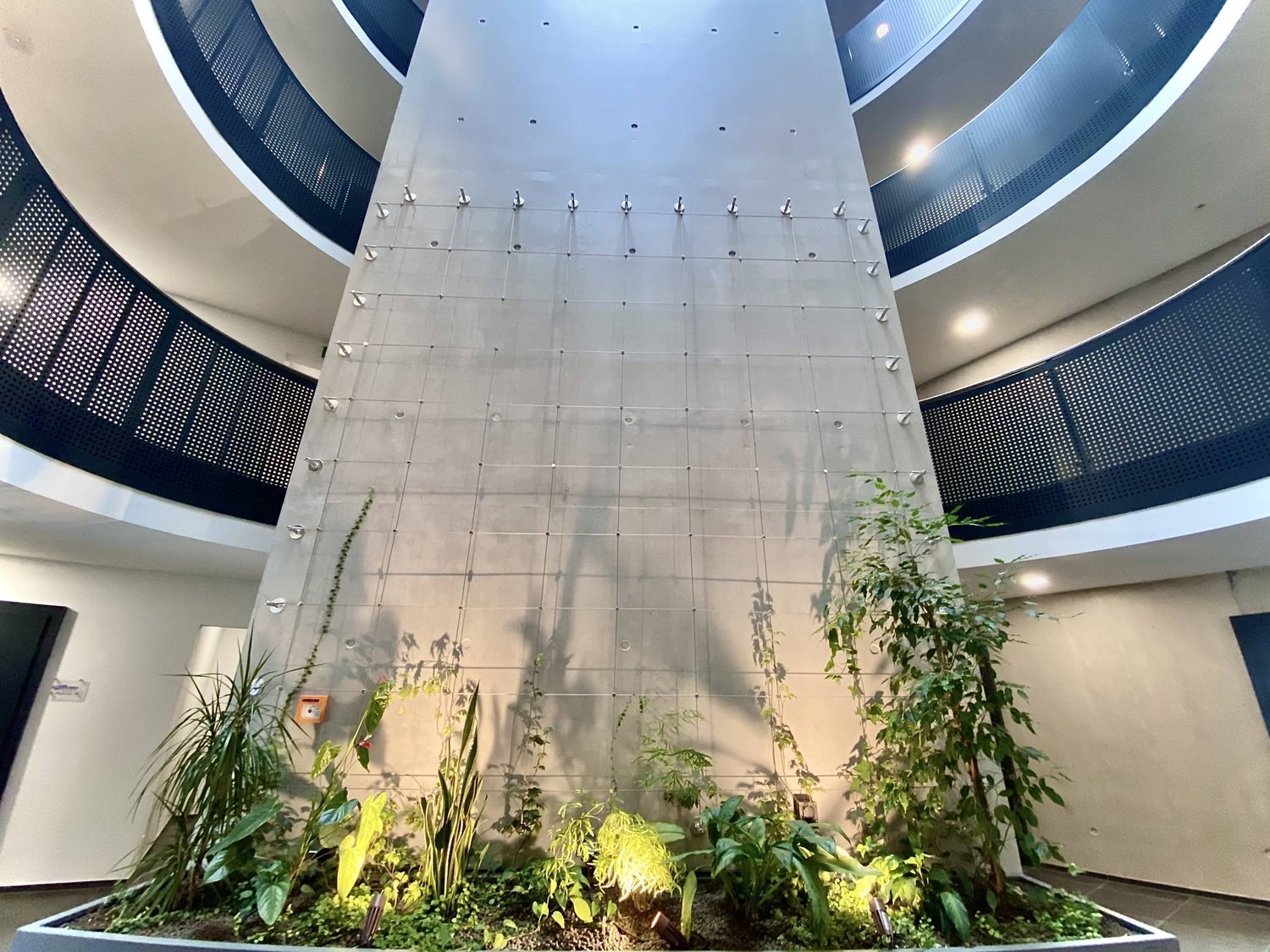 140m² commerciale