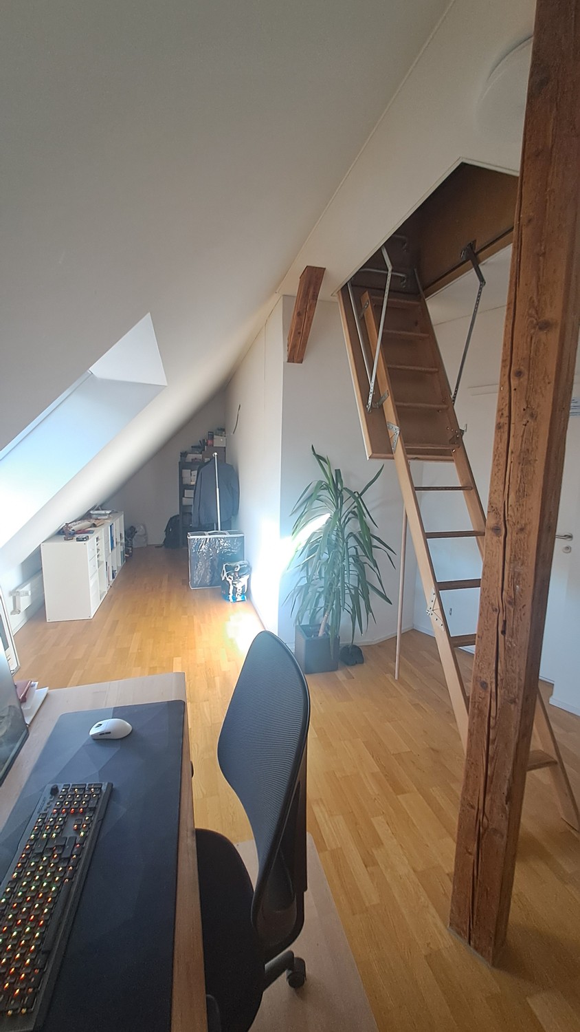Appartamento di 3 ½ locali, foto 9 di 10