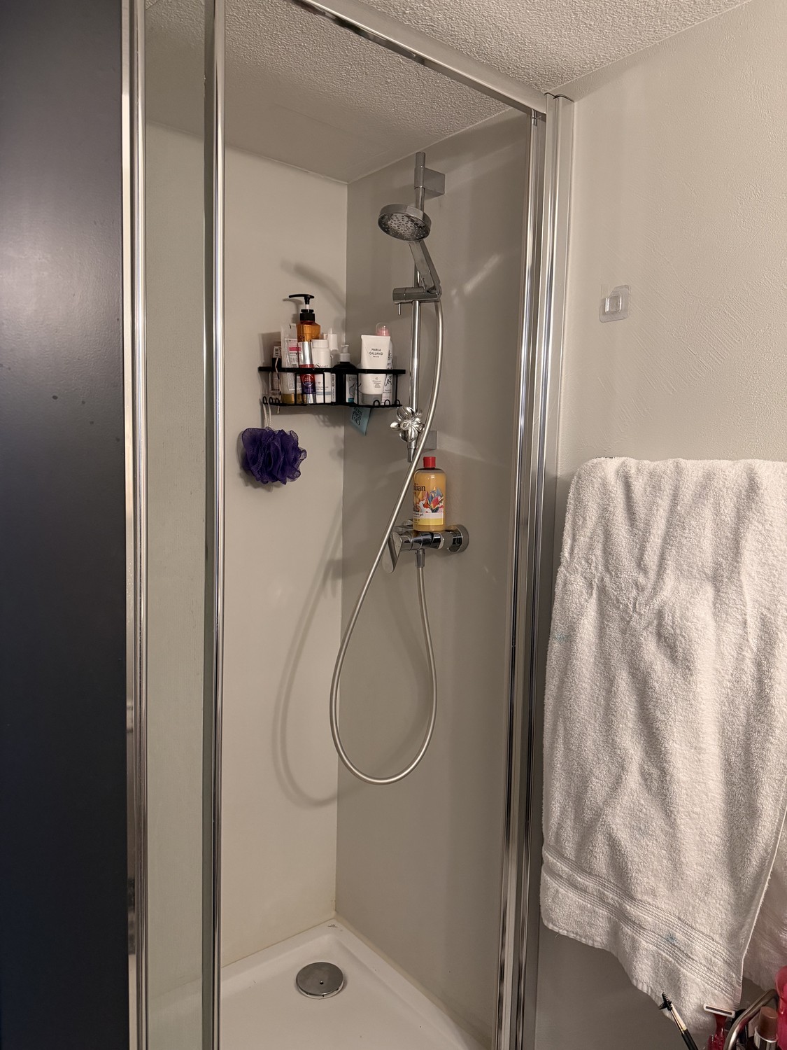 Appartamento di 2 ½ locali, foto 4 di 5