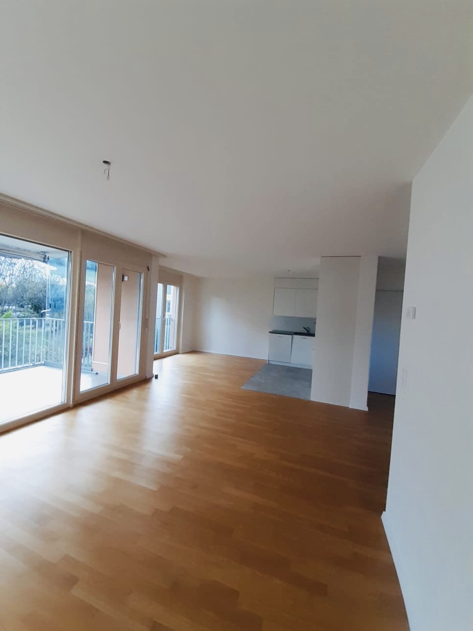 Appartamento di 3 ½ locali, foto 2 di 9