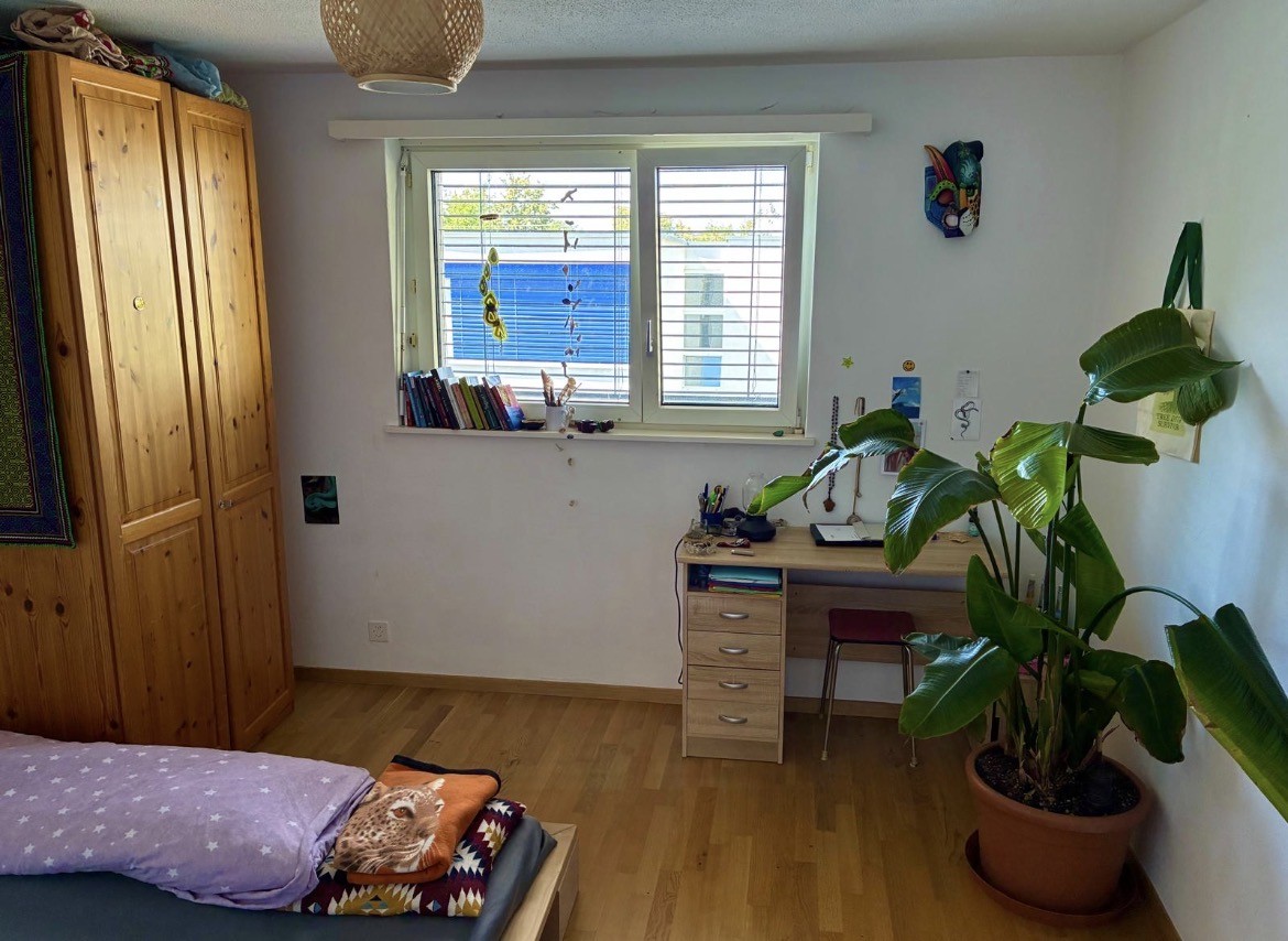 Appartamento di 3 ½ locali