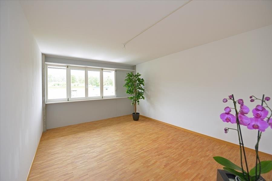 4 ½ rooms duplex