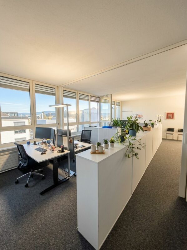388m² commerciale