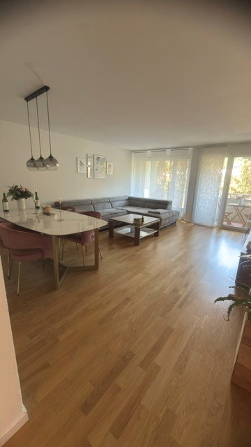 Appartamento di 3 ½ locali
