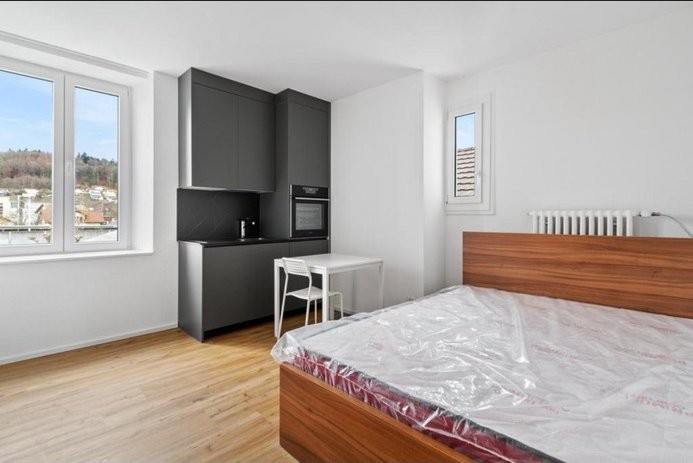 appartamento di 1 ½ locali