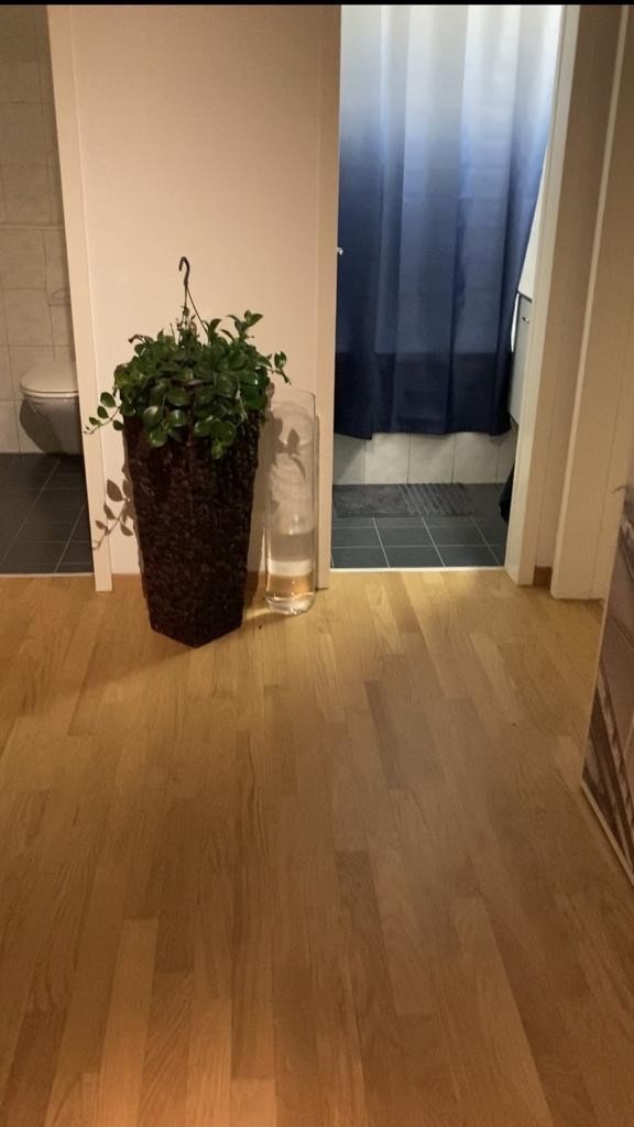 3-Zimmer-Wohnung