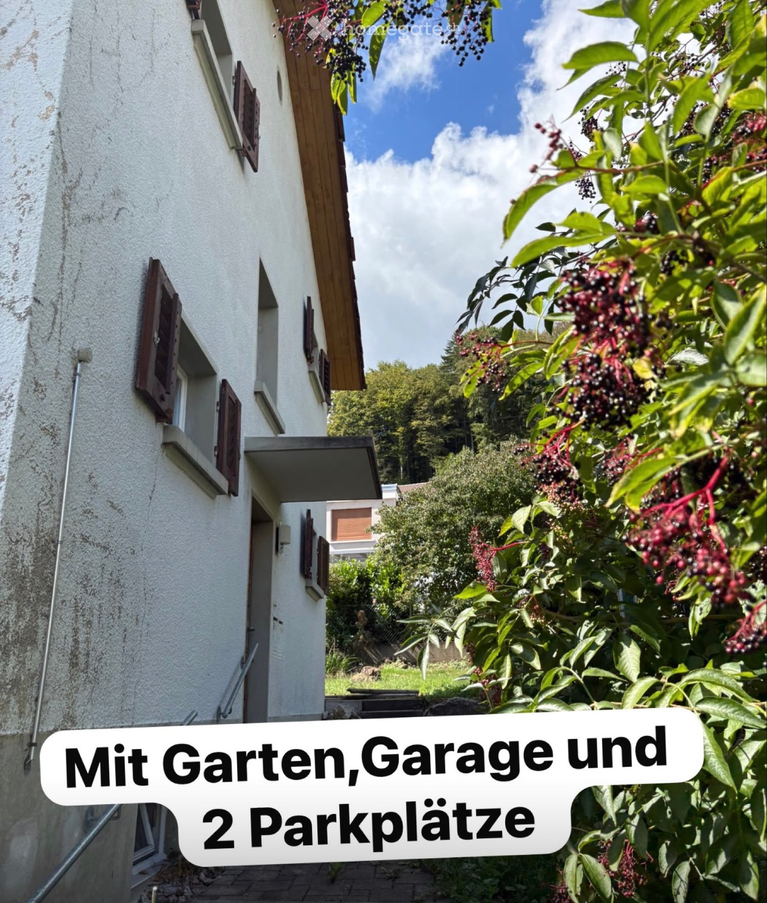 casa singola di 5 locali