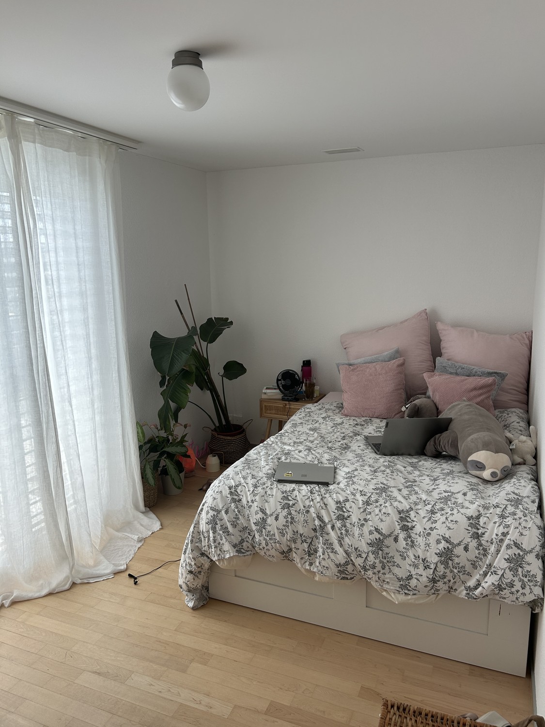 Room in a shared flat